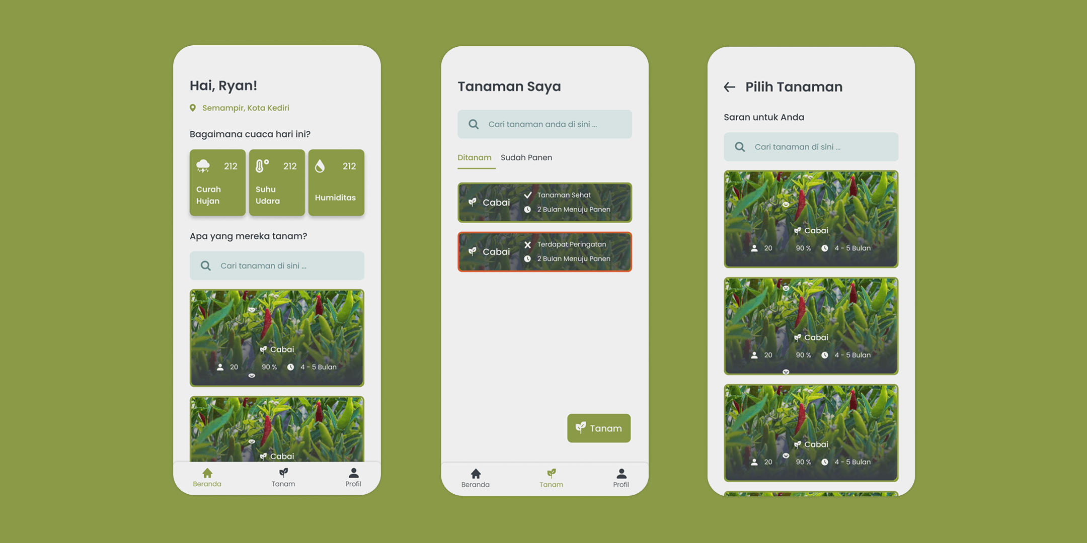 Grid asset 1